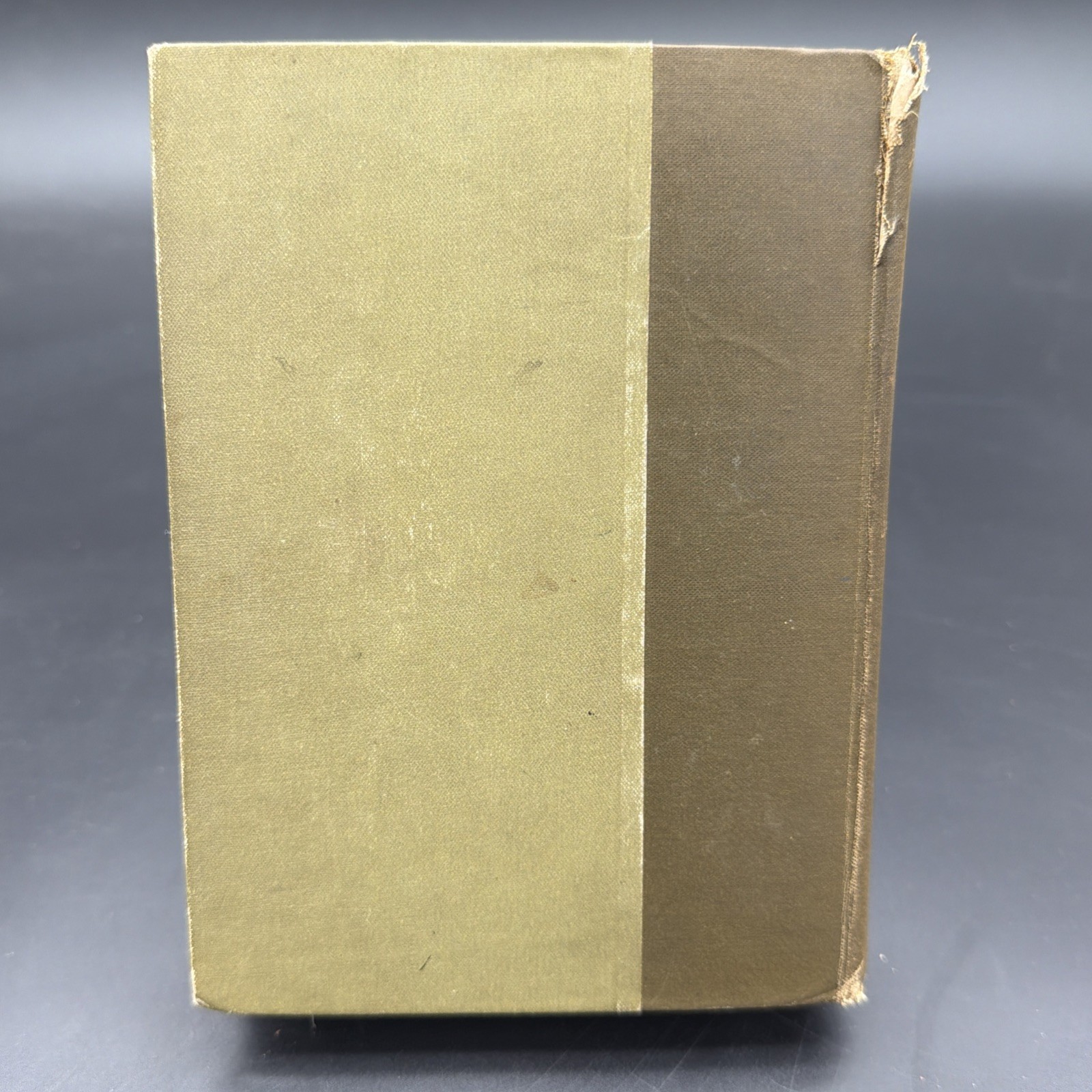 1893 Birds and Poets With Other Papers by John Burroughs Antique Book Poetry Old