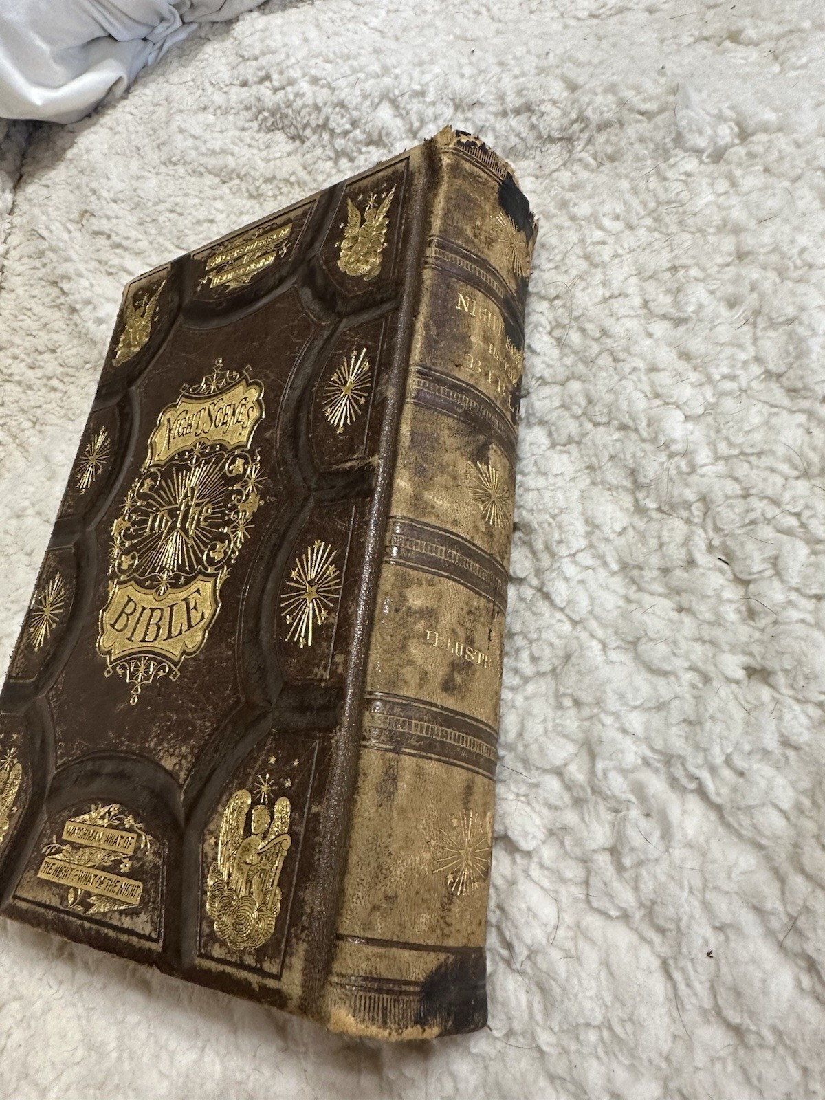 Night Scenes In The Bible 1869 Antique Religious Art Leather Bound Gold Gilded