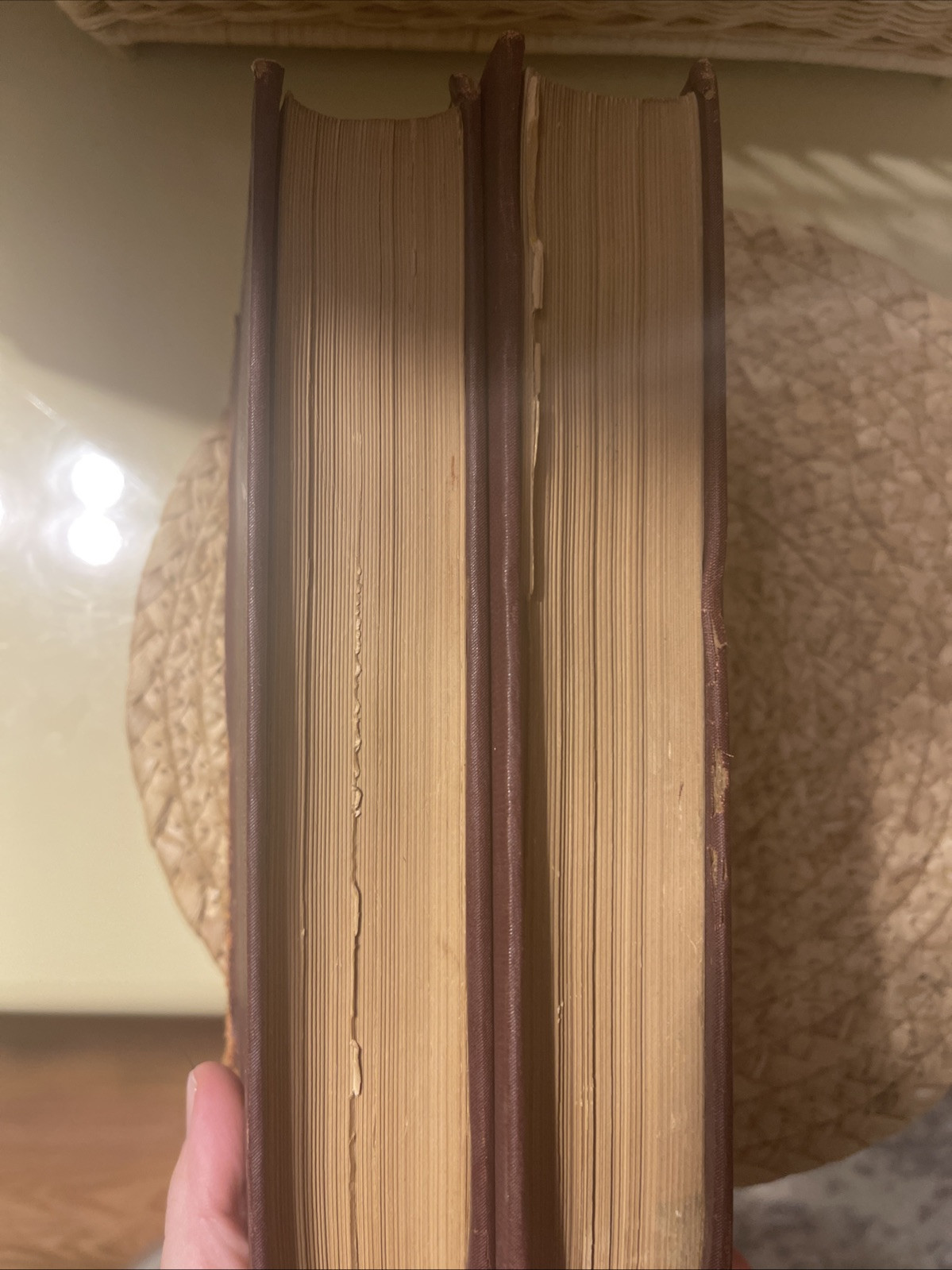 Antique Book 1886 History of Art by Wilhelm Lübke, Vol. I,II
