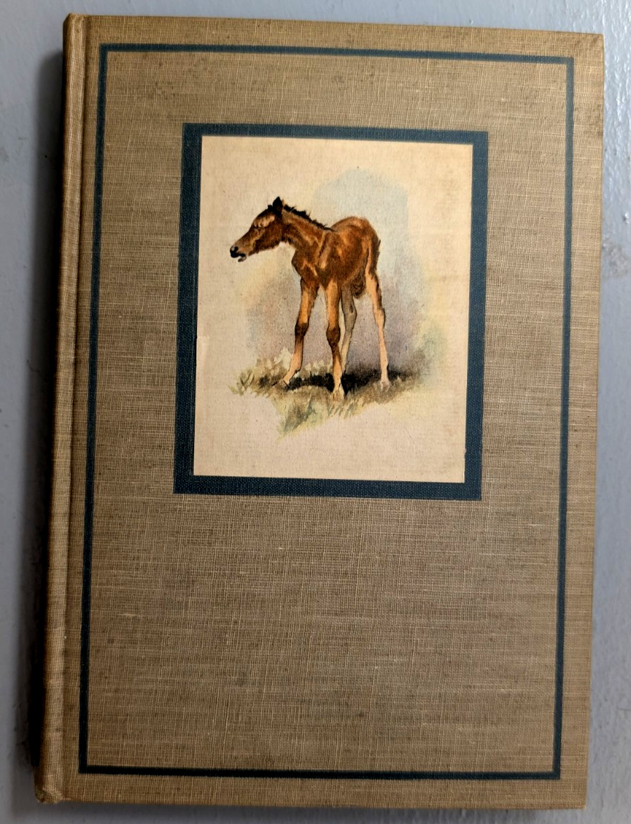 “The Red Pony” by John Steinbeck 1945 Viking Press HC Illustrated Wesley Dennis
