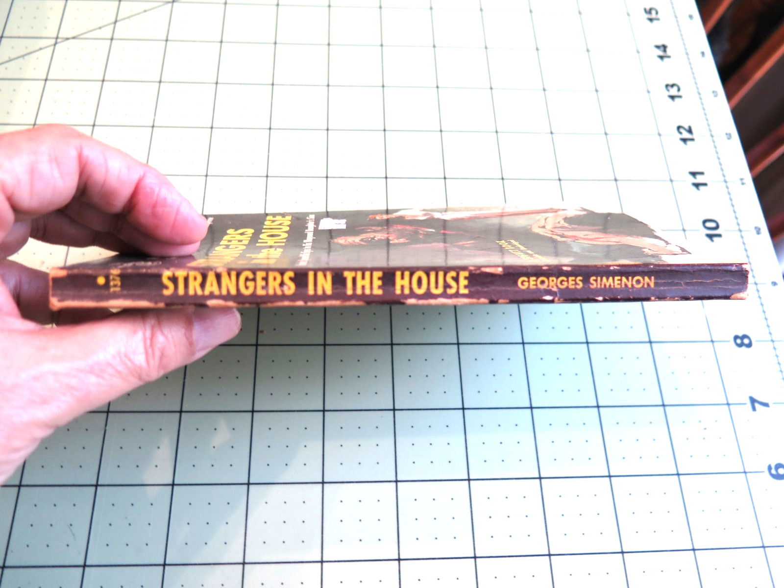 STRANGERS IN THE HOUSE BY GEORGES SIMENON SIGNET BKS PULP THRILLER GGA