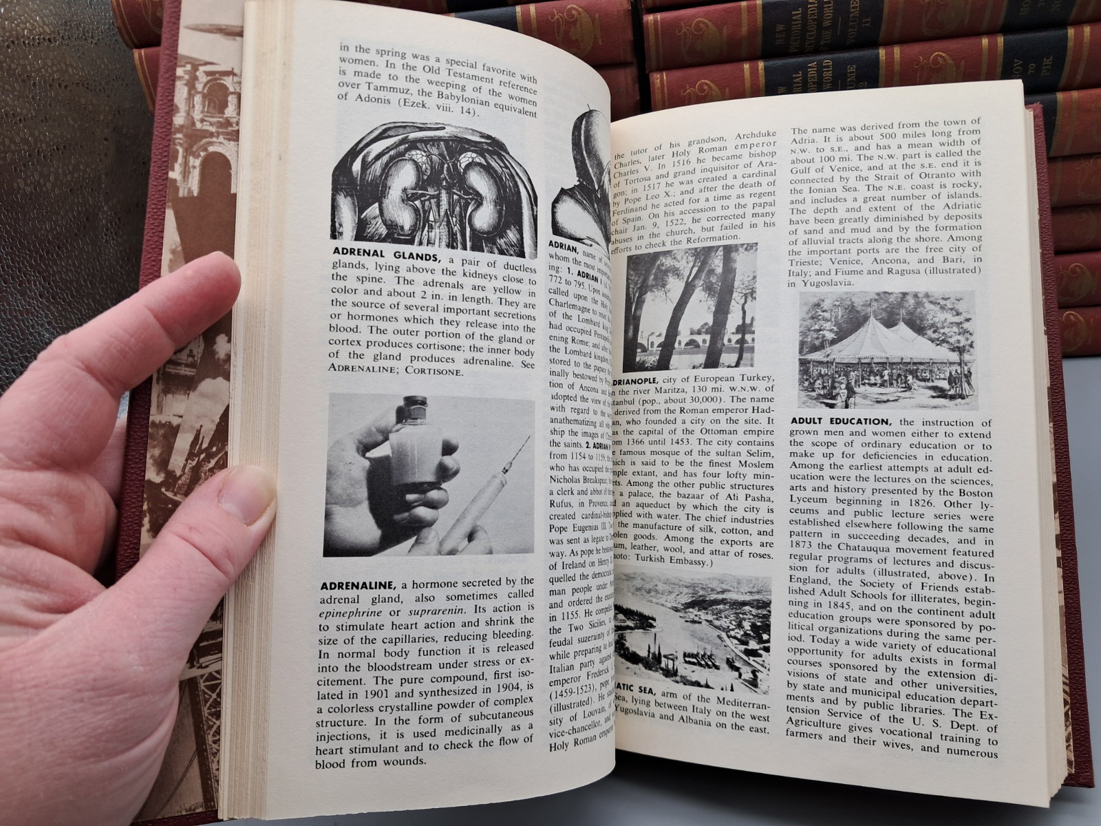 Vintage 1955 New Pictorial Encyclopedia of the World Volume 1-17 (No Atlas)