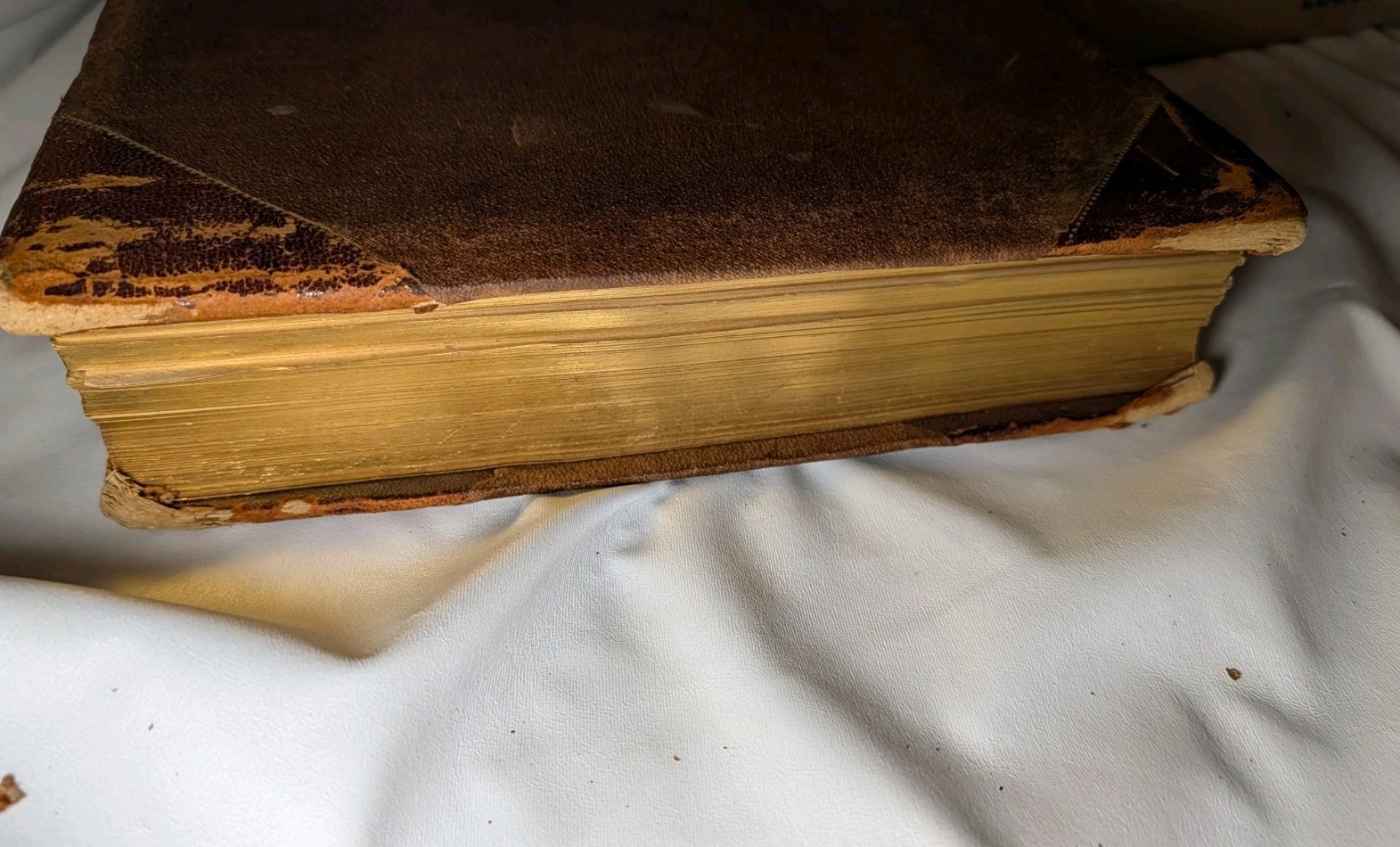 Antique Native Flowers and Ferns by Thomas Meehan 1878 Vol 1, Chromolithographs
