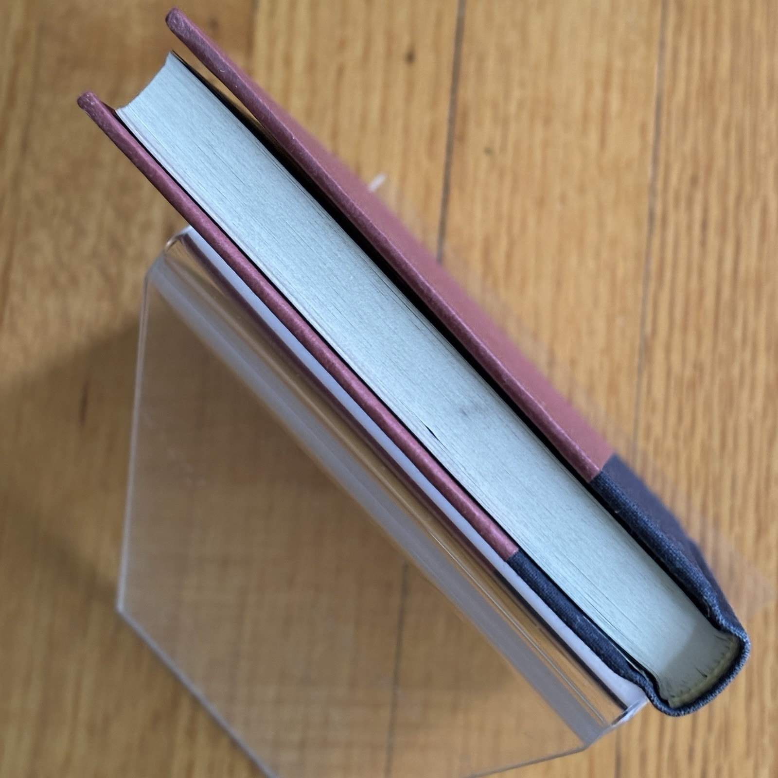 BARRY HANNAH—Never Die—1st Edition 1st Printing HARDCOVER—VG+—SIGNED & INSCRIBED