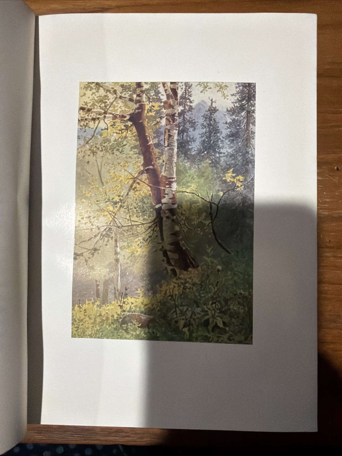 Kashmir- Described By Francis Younghusband – First Print 1909