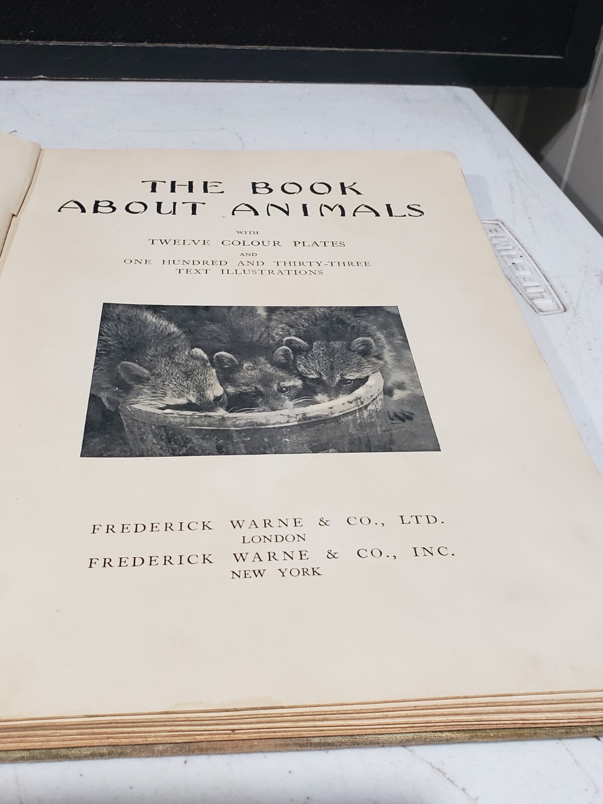 1933 The Book About Animals Frederick Warne 1st Edition Hardcover GREAT BRITAIN