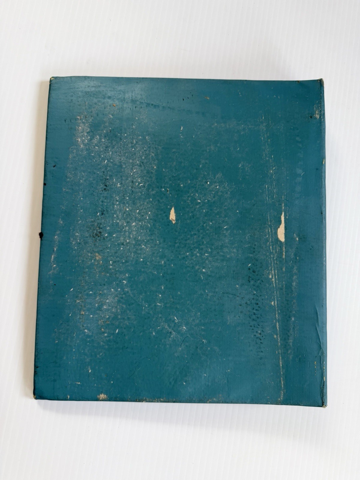 Vintage 1954-55 Home Economics Binder With Recipes & Notes Hand Written Cookbook