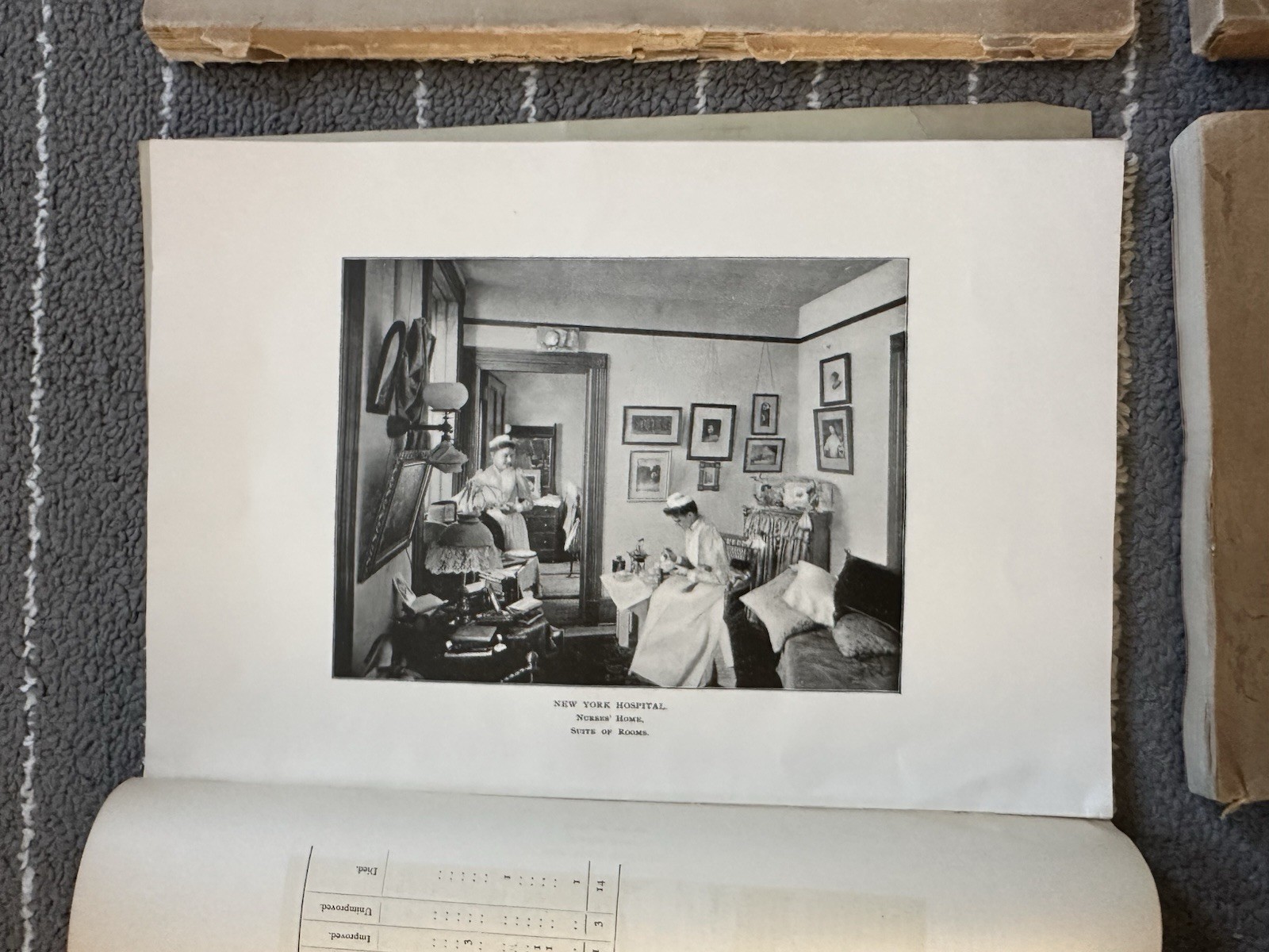 Society Of The New York Hospital / Bloomingdale Asylum Annual Reports NY Insane