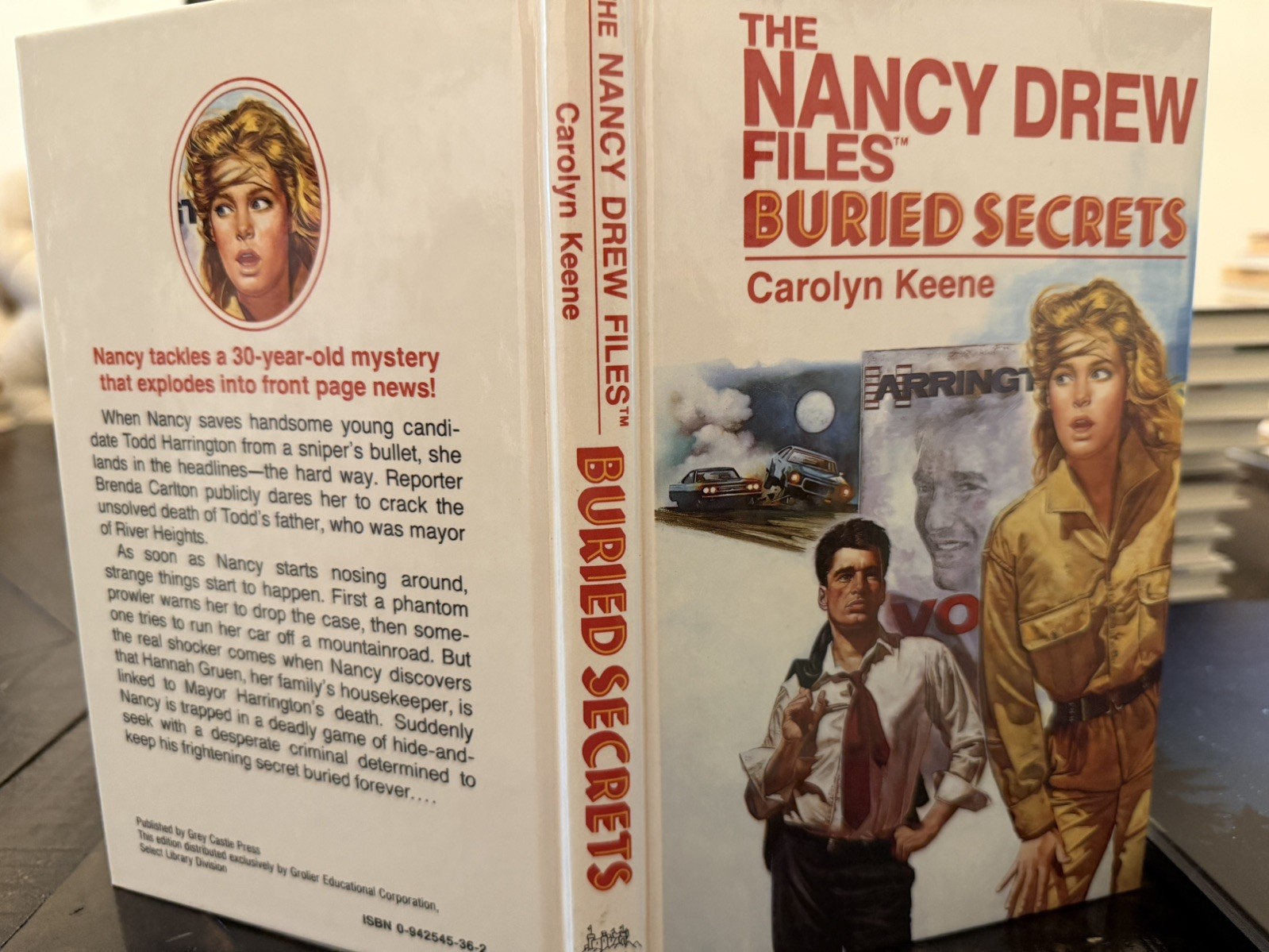 Nancy Drew Files – Hardcover Complete 10 Book Set Grey Castle Press Like New