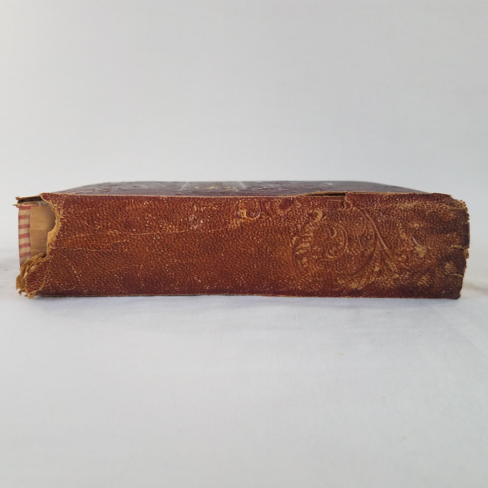 1890s Works William Shakespeare Crowell American Edition Embossed Leather RARE
