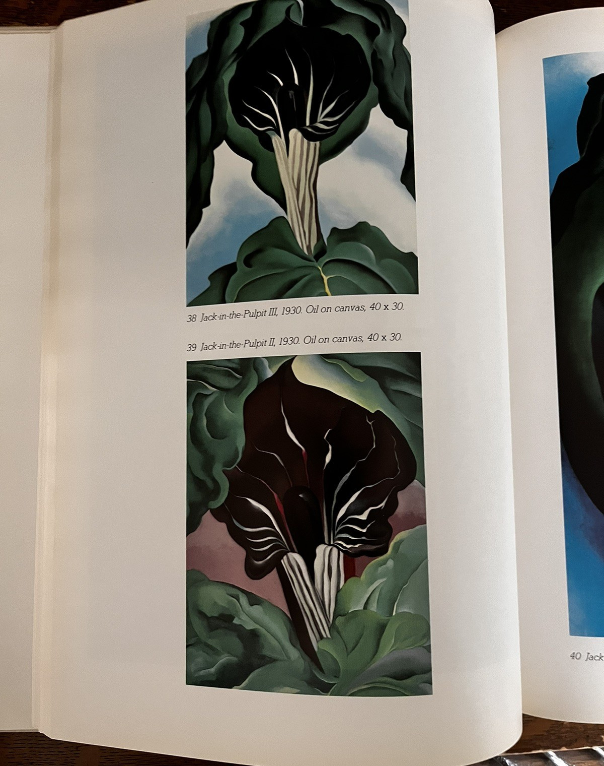 1st ED (NO Dust Jacket) Georgia O’Keeffe Viking Press NY 1976 “The Viking Book”