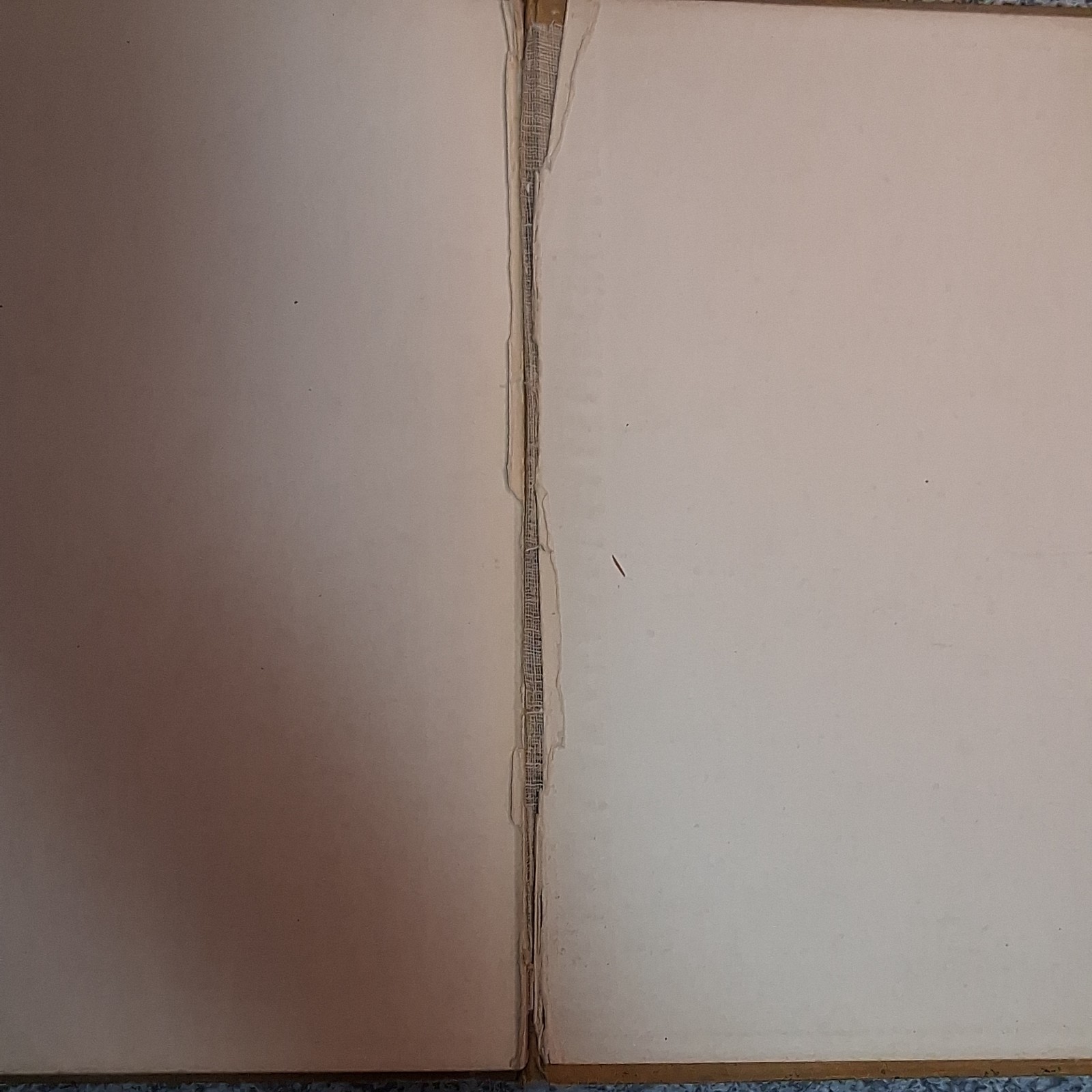 1911 Radford’s Details of Building Construction 185 Plates Antique Architecture
