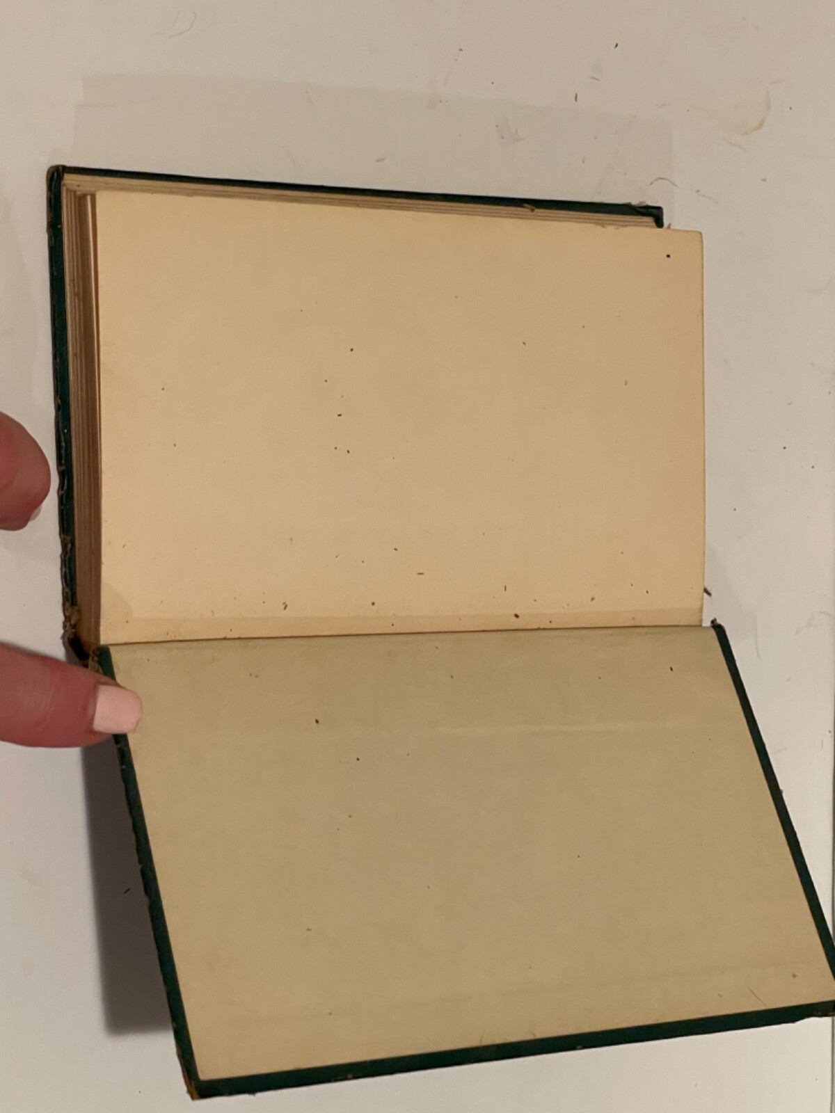 CUSHING’S MANUAL OF PARLIAMENTARY PRACTICE by Luther Cushing P.Lowe HC 1925