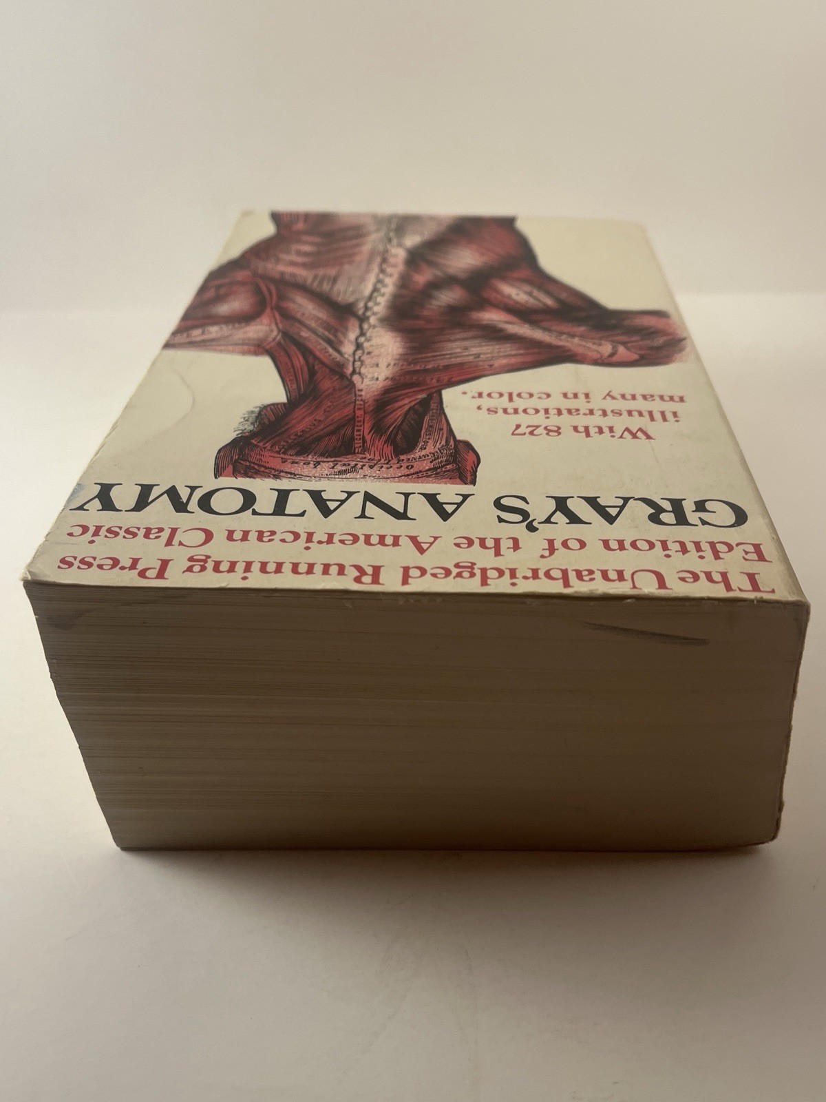 Gray’s Anatomy Running Press 1901 Unabridged Edition 1974 Paperback 827 Illus