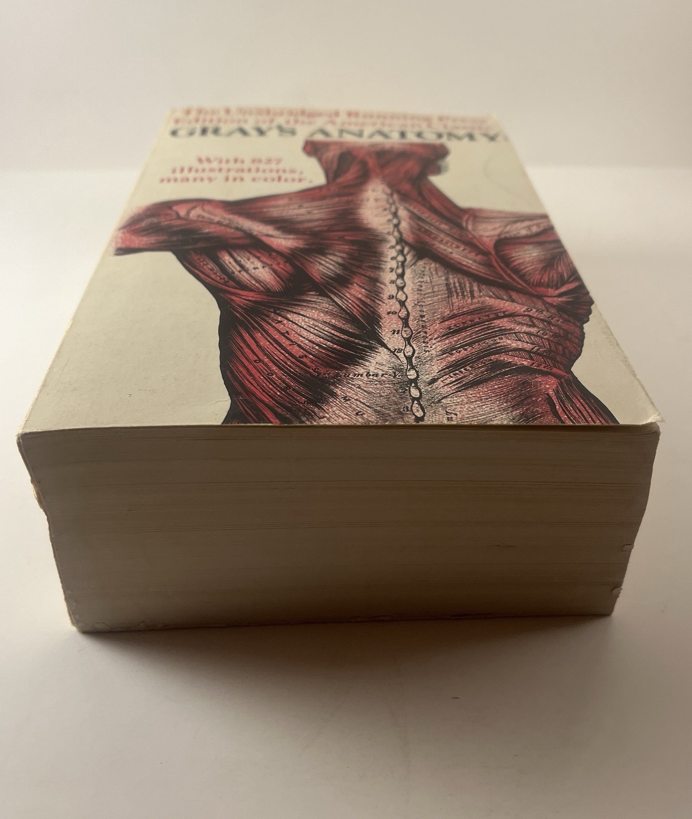 Gray’s Anatomy Running Press 1901 Unabridged Edition 1974 Paperback 827 Illus