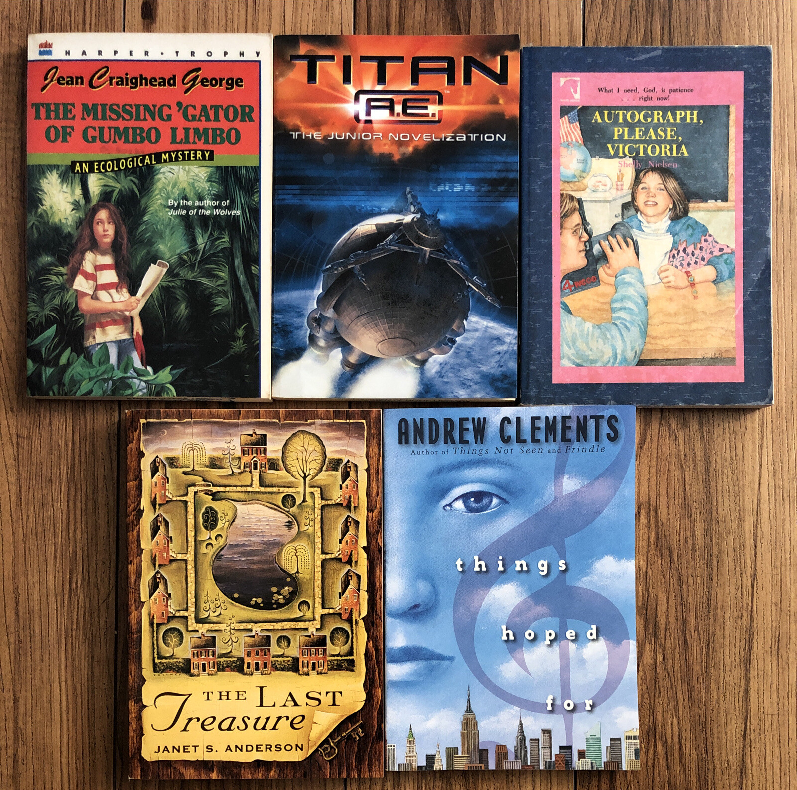 Lot of 20 Chapter Children Young YOUTH RANDOM UNSORTED BOOKS MIX Exlib #10