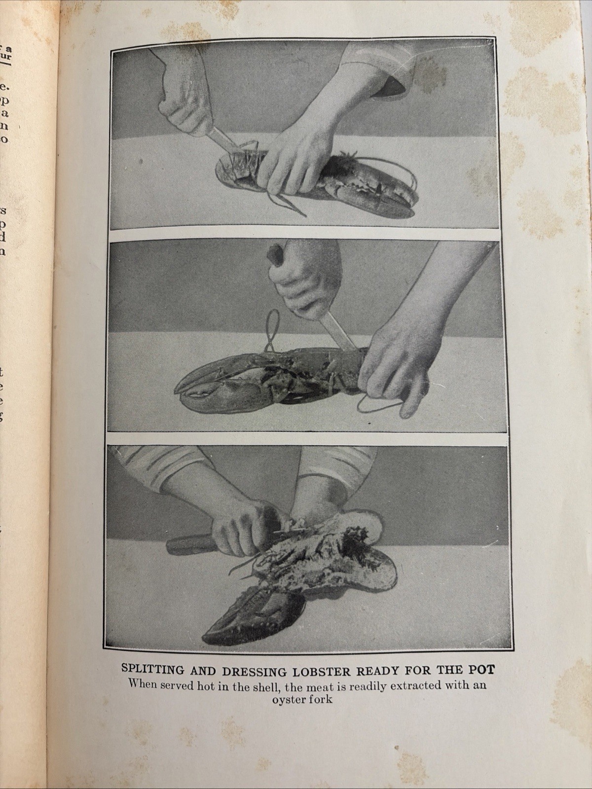 Vtg Mrs.Fryer’s Cook Book Practical Home Economics H/C Antique HC Illus 1926
