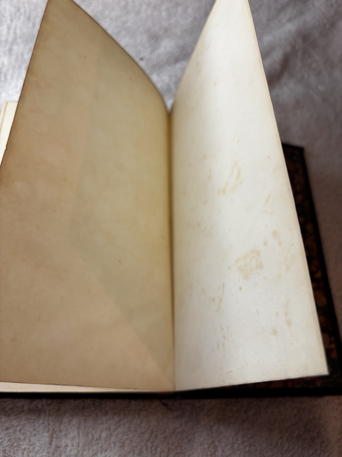 1844 The Life & Correspondence of Thomas Arnold Vol. I Leather Gold Leaf Binding