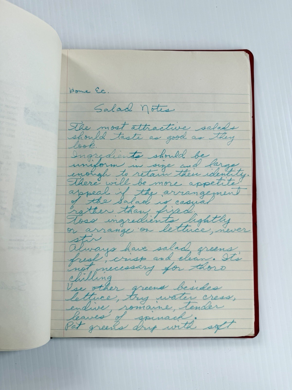 Vintage 1954-55 Home Economics Binder With Recipes & Notes Hand Written Cookbook