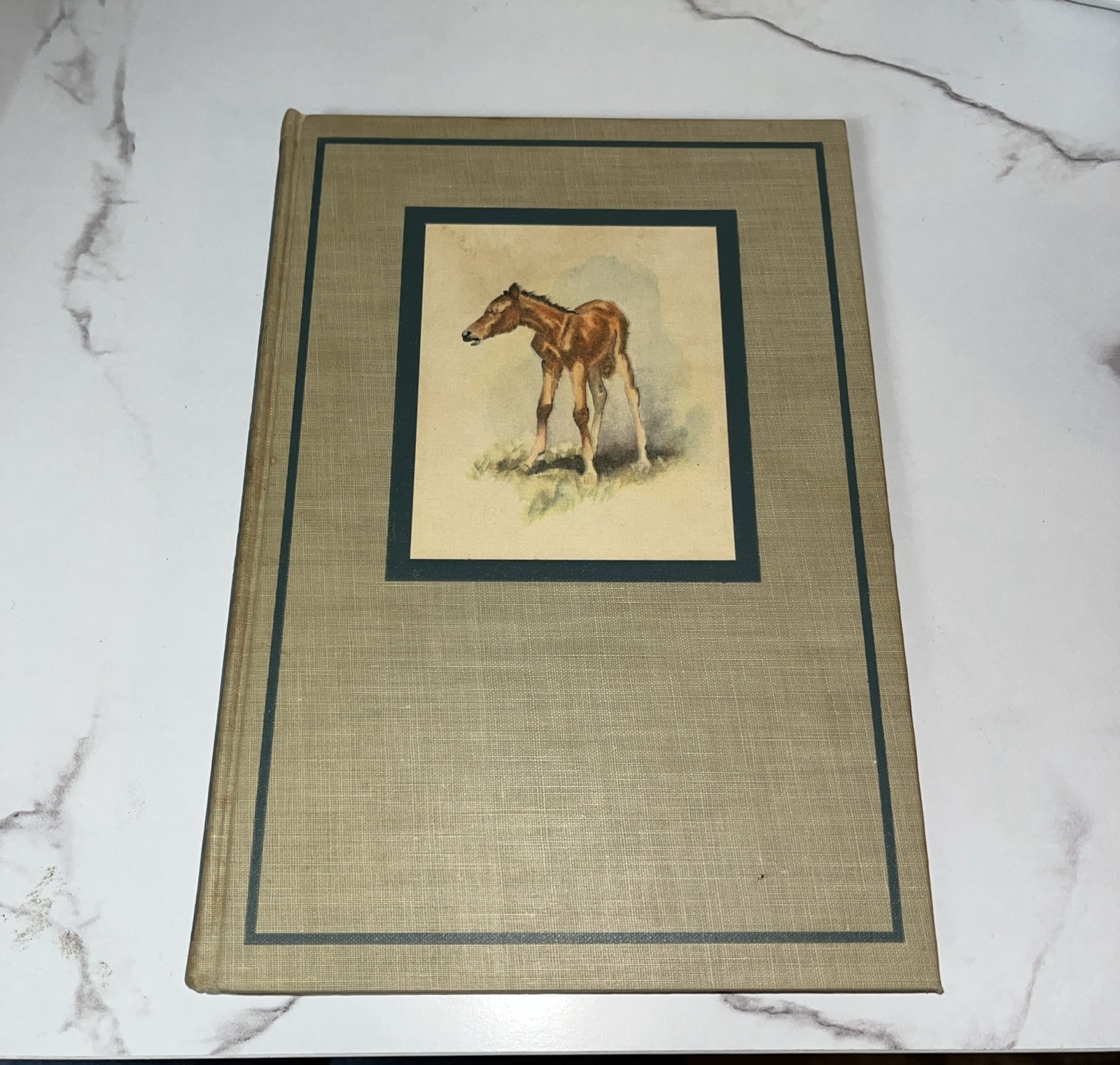The Red Pony John Steinbeck First Illustrated Edition 1945 Viking Press HC Slipc