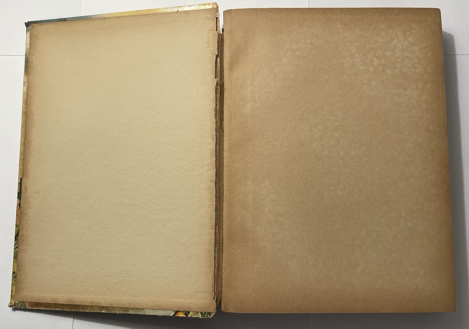 1936 The Pitter Patter Book Whitman Publishing Vintage Children’s Story Book