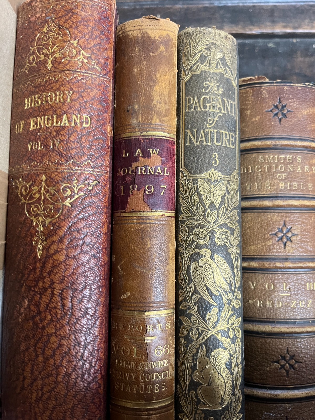 18x ANTIQUE LEATHER BOOKS BINDINGS MOST 19TH CENTURY FAB BUNDLE DECOR PROPS