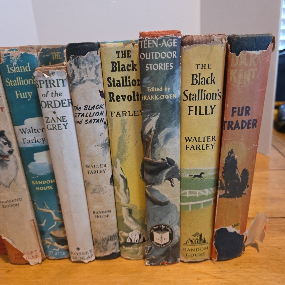 Lot of 13 Vintage Boys Action Adventure Books 1940s 50s Hardcover Hardy Boys