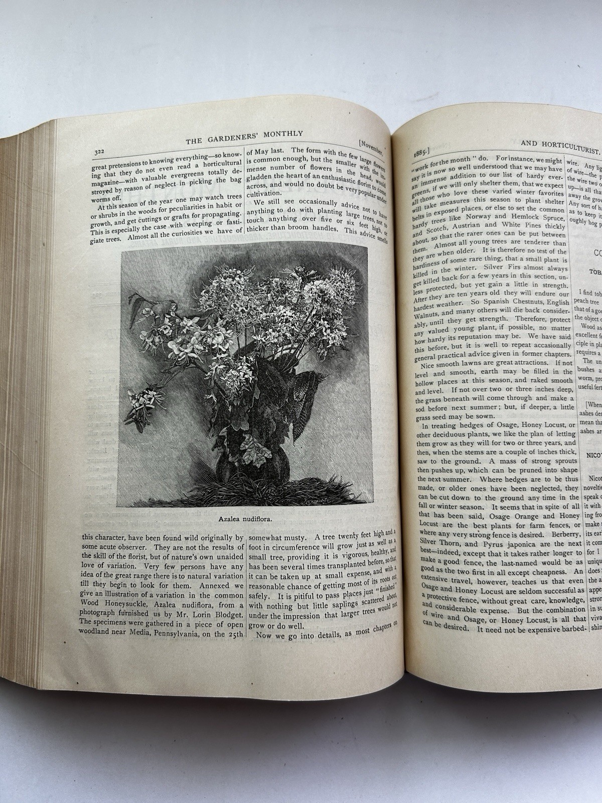 1884 – 86 The Gardeners’ Monthly & Horticulturist Thomas Meehan 23 Issues Bound