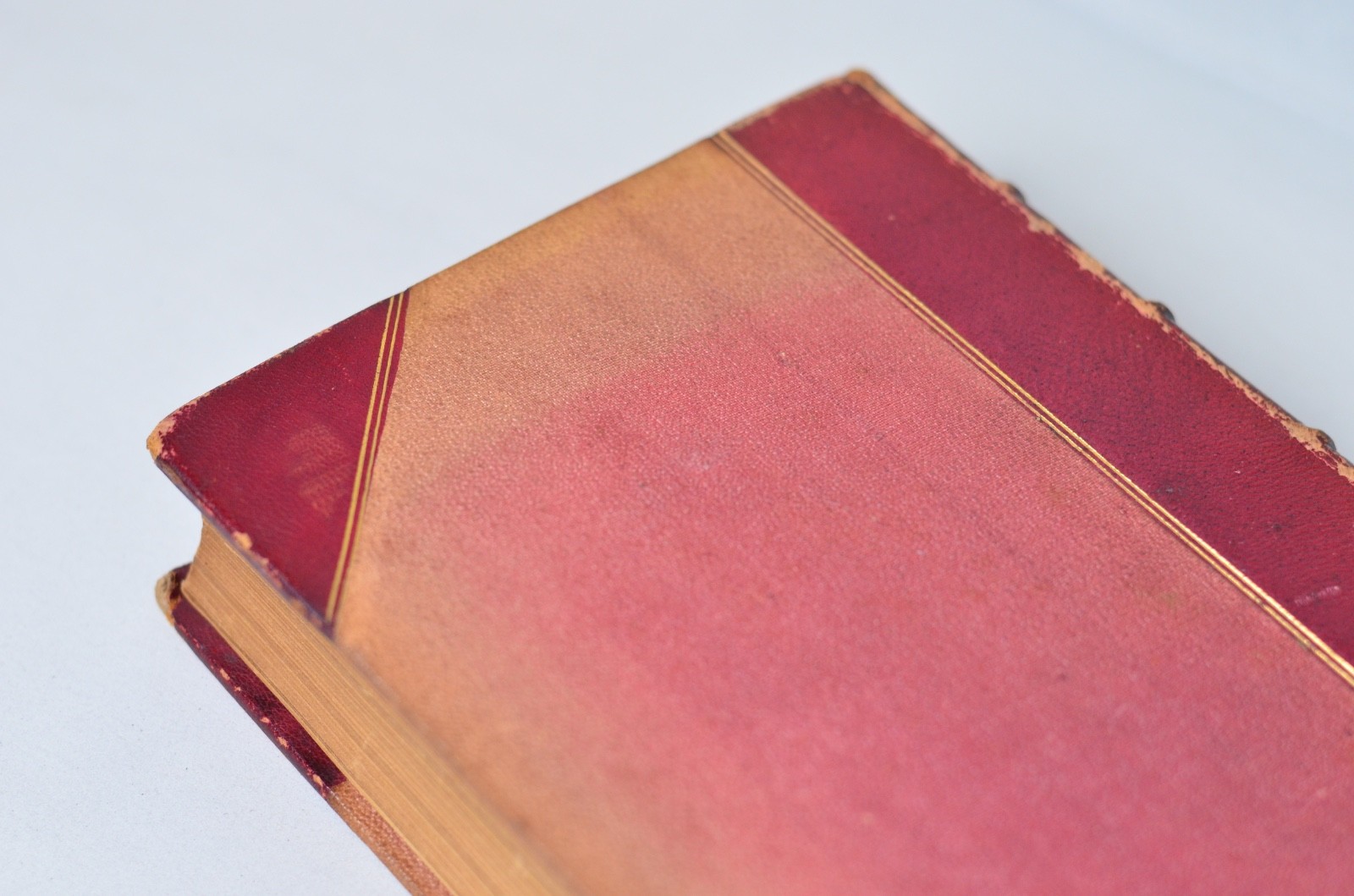 First Edition The Life of Marie de Medicis Queen of France by Julia Pardoe 1852
