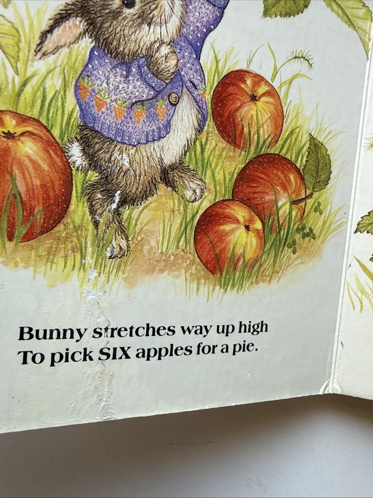 Little Simon Shape Board Book BUNNY’S NUMBERS Lisa McCue Children’s Vintage Book