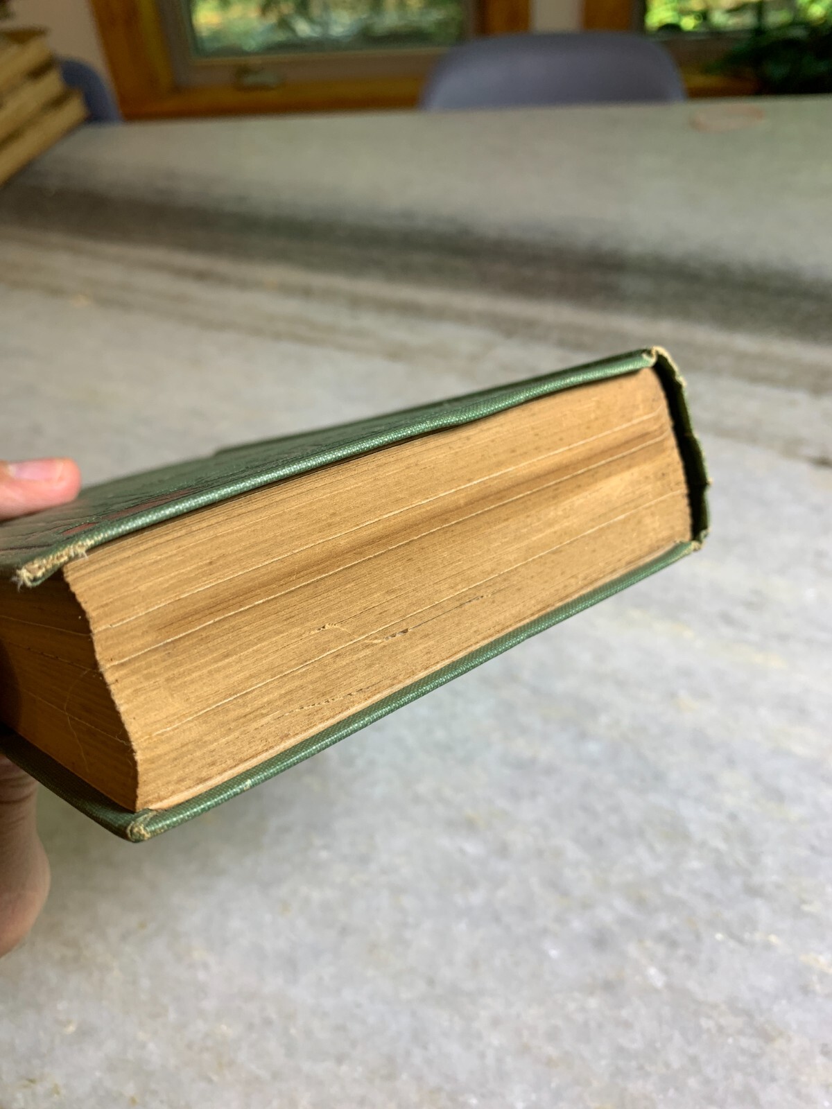Antique Victorian Ornate Gilded Embossed Book The Adventures of Mr Verdant Green