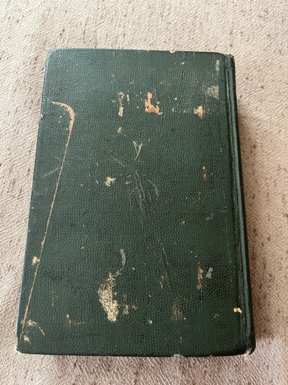 The Everyday Cookbook and Encyclopedia of Practical Recipes by Miss E. Neil
