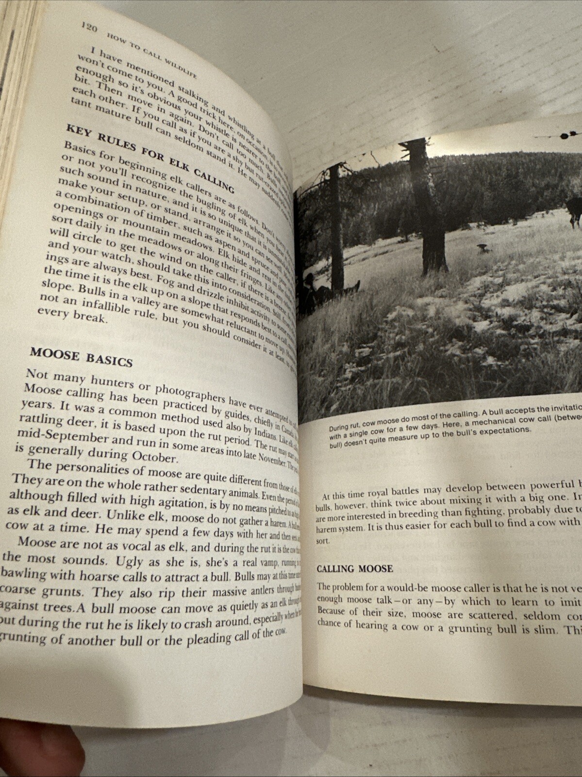 How To Calll Wildlife By Byron W. DALRYMPLE Paperback Book 1978