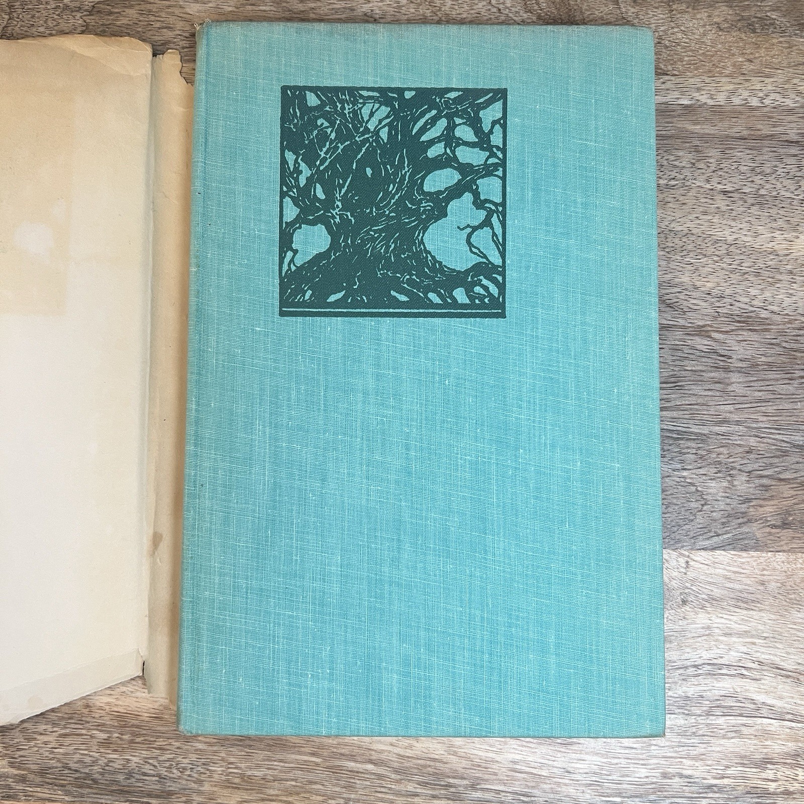 Kate Seredy The Tenement Tree 1959 Viking Press Illustrated Hardcover DJ