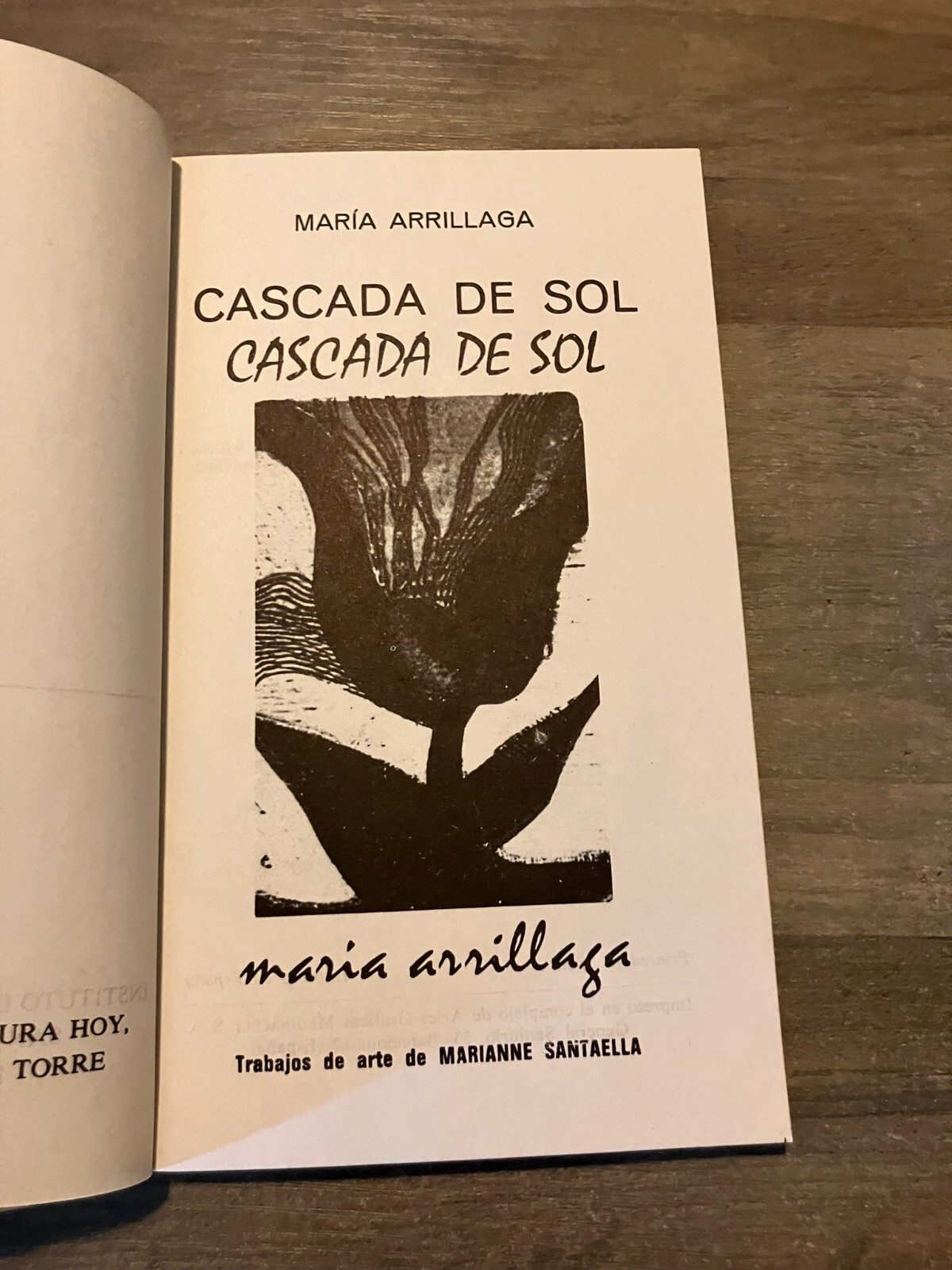CASCADA DE SOL MARIA ARRILLAGA Paperback Book Puerto Rico