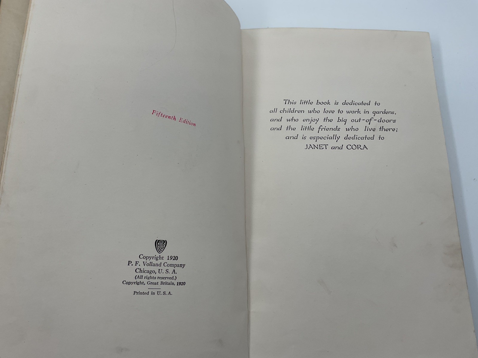 1920 The Turned-Into’s Elizabeth Gordon Juvenile Fiction Fantasy Children Book