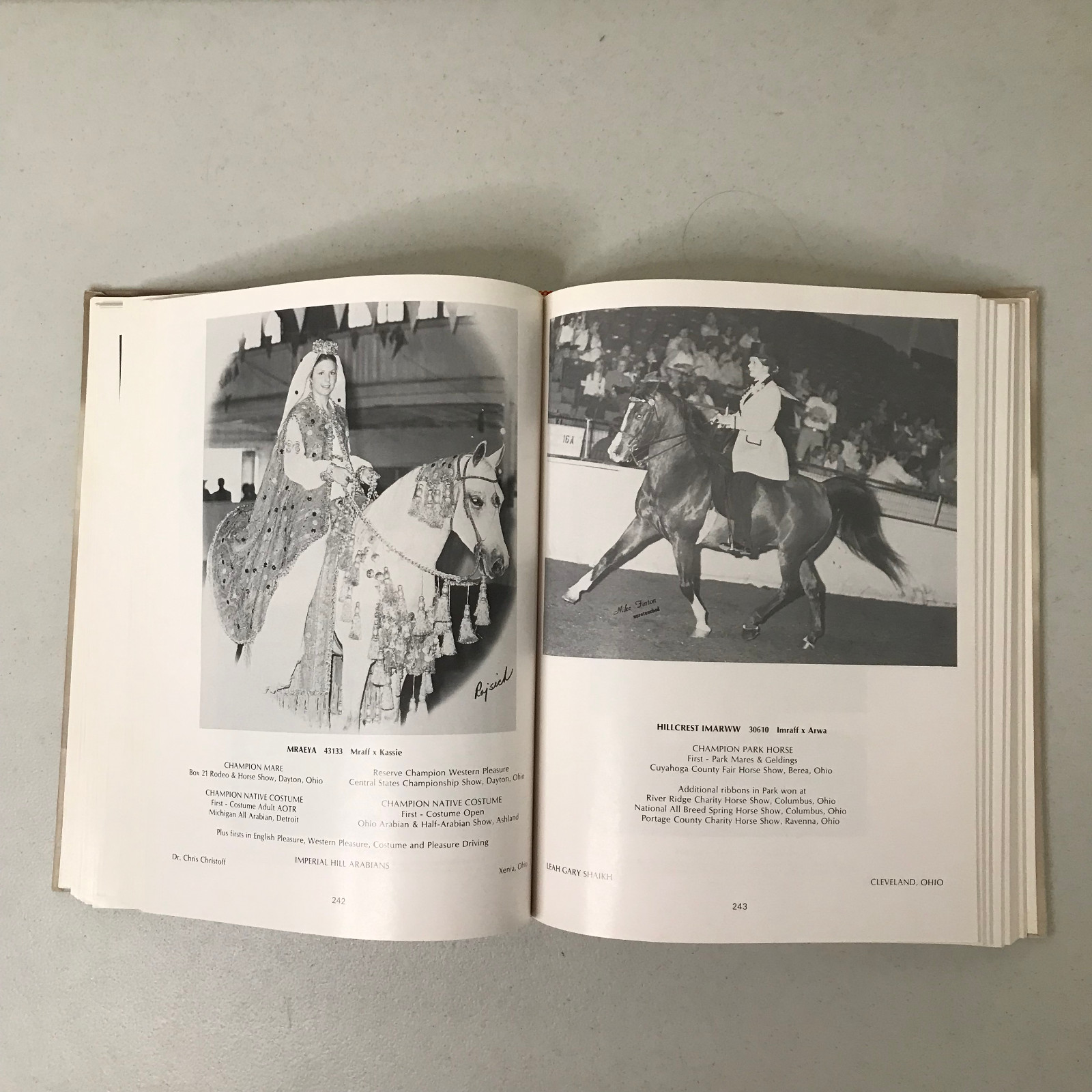Arabian Horse Yearbook 1976 – Arabian Horse Association – HC