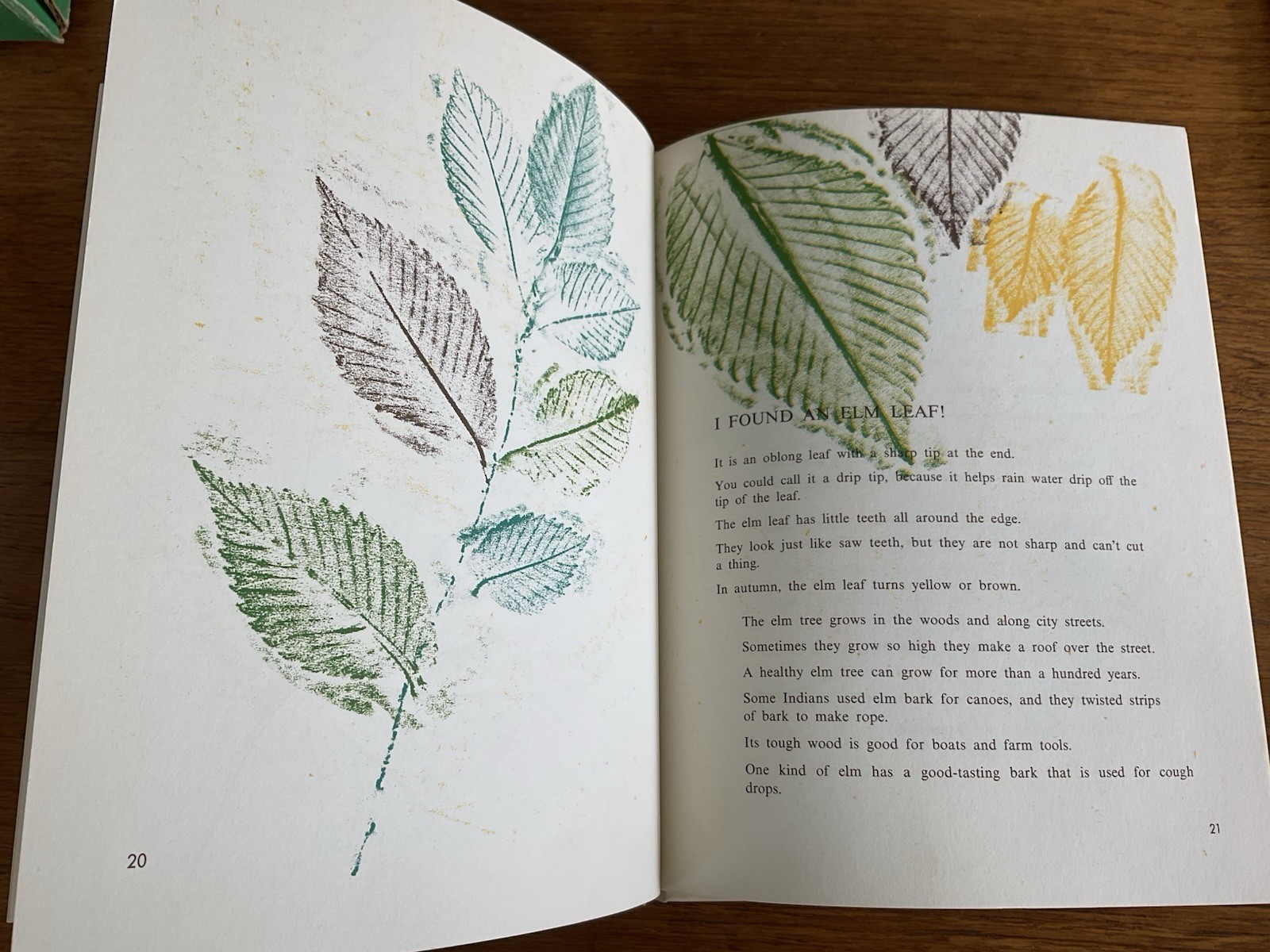 I found a leaf~Sharon Lerner~c1964~3rd ptg 1967~Lerner Publications~HB~36 pages