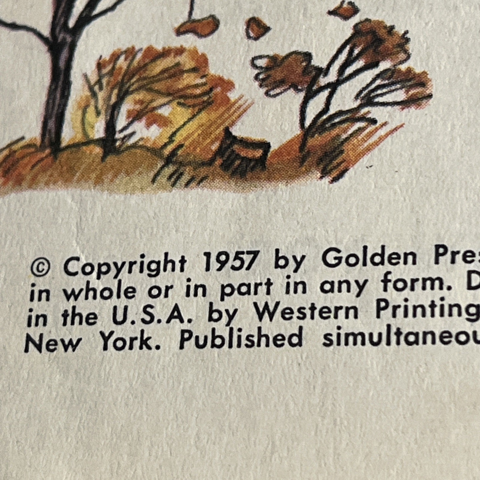 Vintage 1957, The Little Golden Mother Goose, Little Golden Book #472