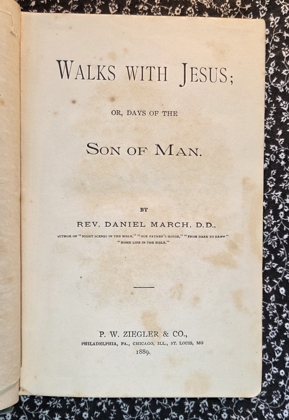 Walks With Jesus Or Days Of The Son Of Man By Daniel March, 1889, HC