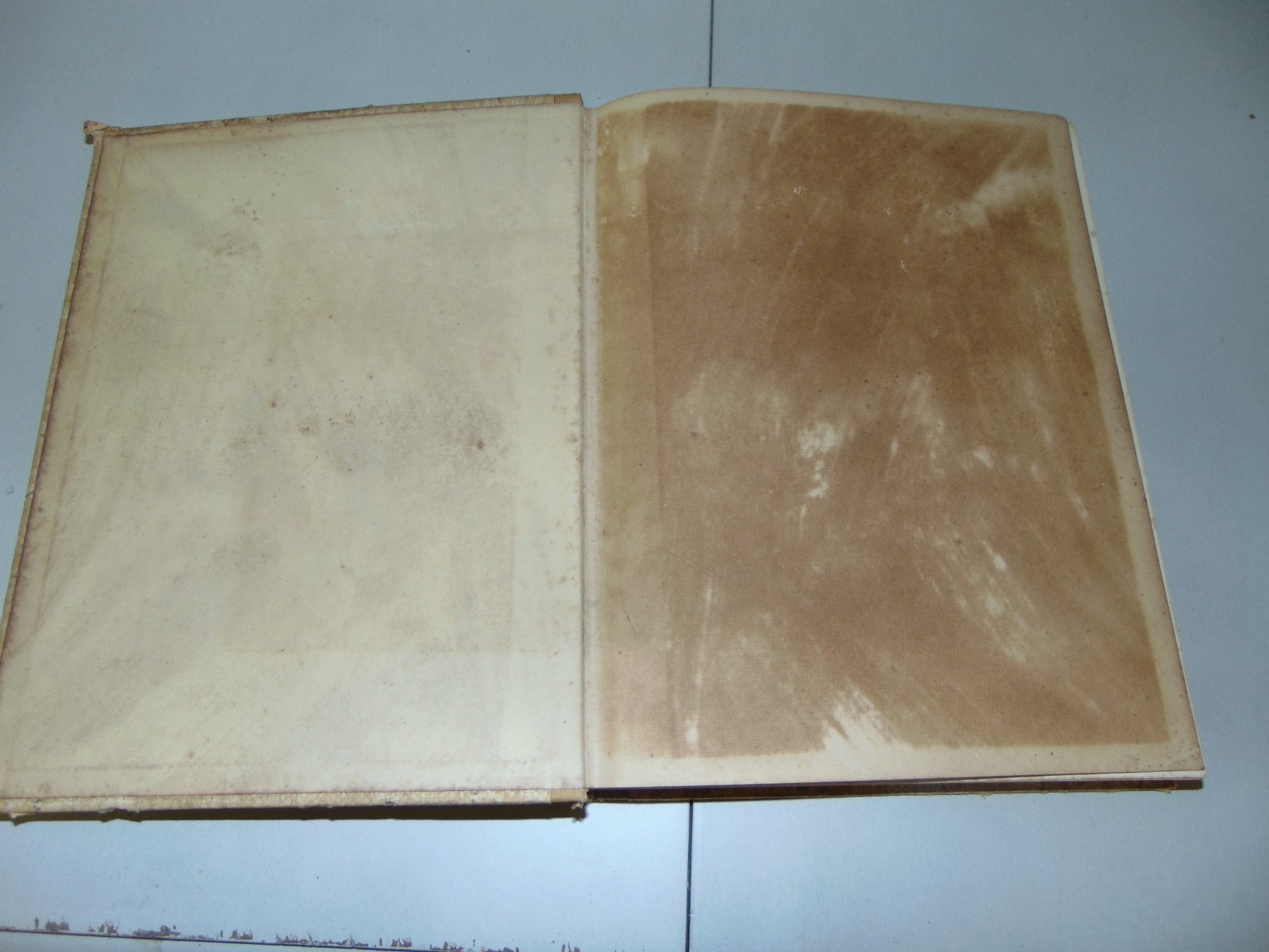 1941 NETHERLANDS HB BOOK: “ZOO IS GELDERLAND” BY JOHAN WESSELINK