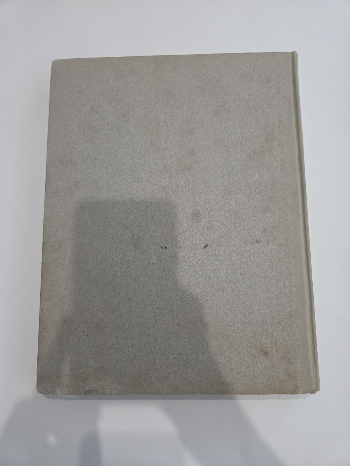 TWO Antique First Edition Teddy-B & Teddy-G Children’s Books, by Seymour Eaton