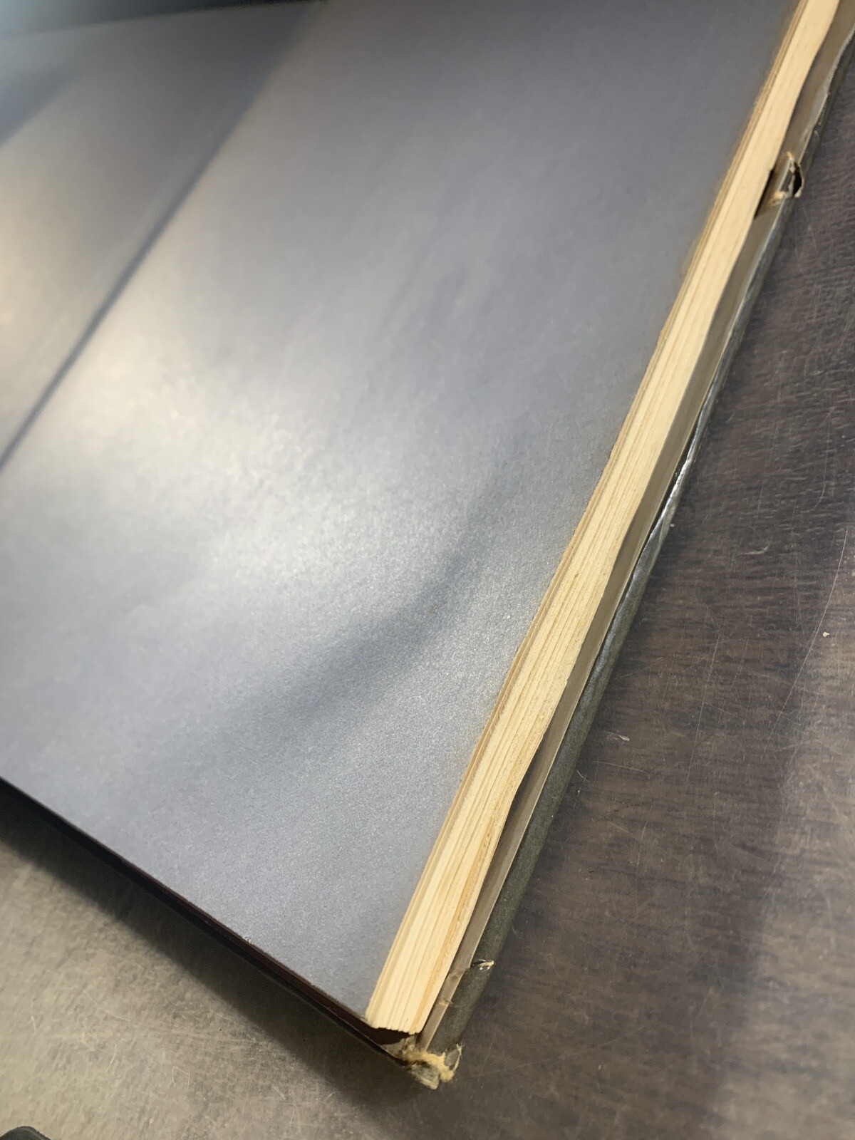 Cézanne and his Art Nicholas Wadley HC Art Book Dust Jacket; Galahad 1975