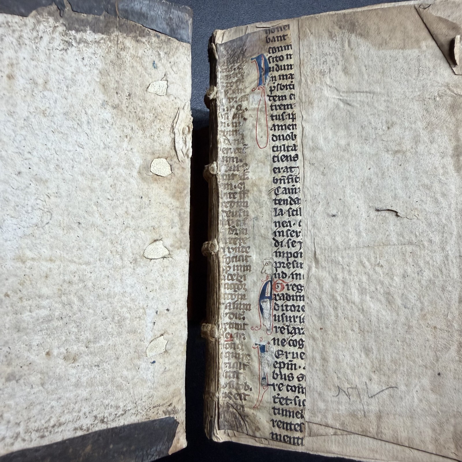 1567 ✝️ Erasmus Novi Testamenti, Latin NT, 100+ Woodcuts, Rihel