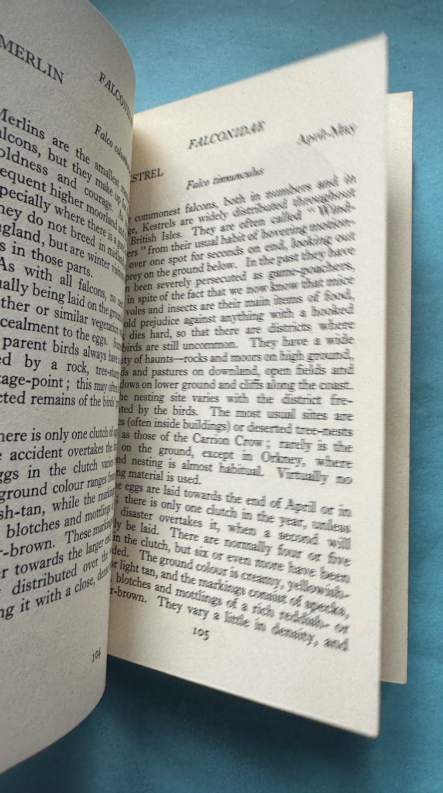 The Observer’s Book of Bird’s Eggs – 1961 Frederick Warne HB