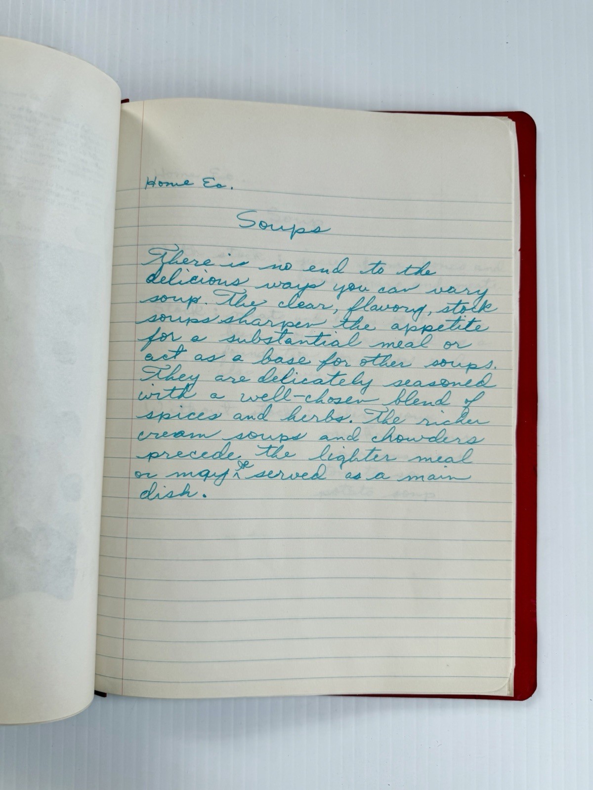 Vintage 1954-55 Home Economics Binder With Recipes & Notes Hand Written Cookbook