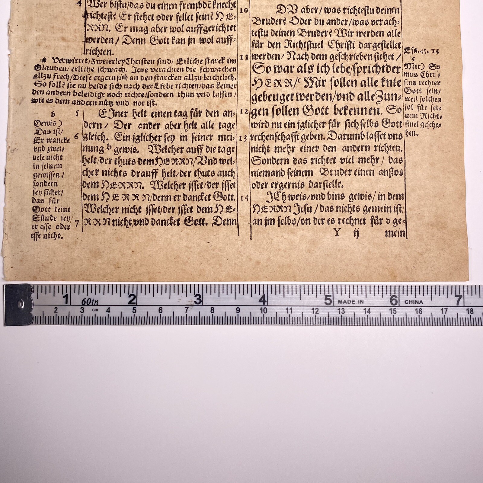 1595 Martin Luther Bible Page Romans Chpt 14 W/ Certificate Of Authenticity