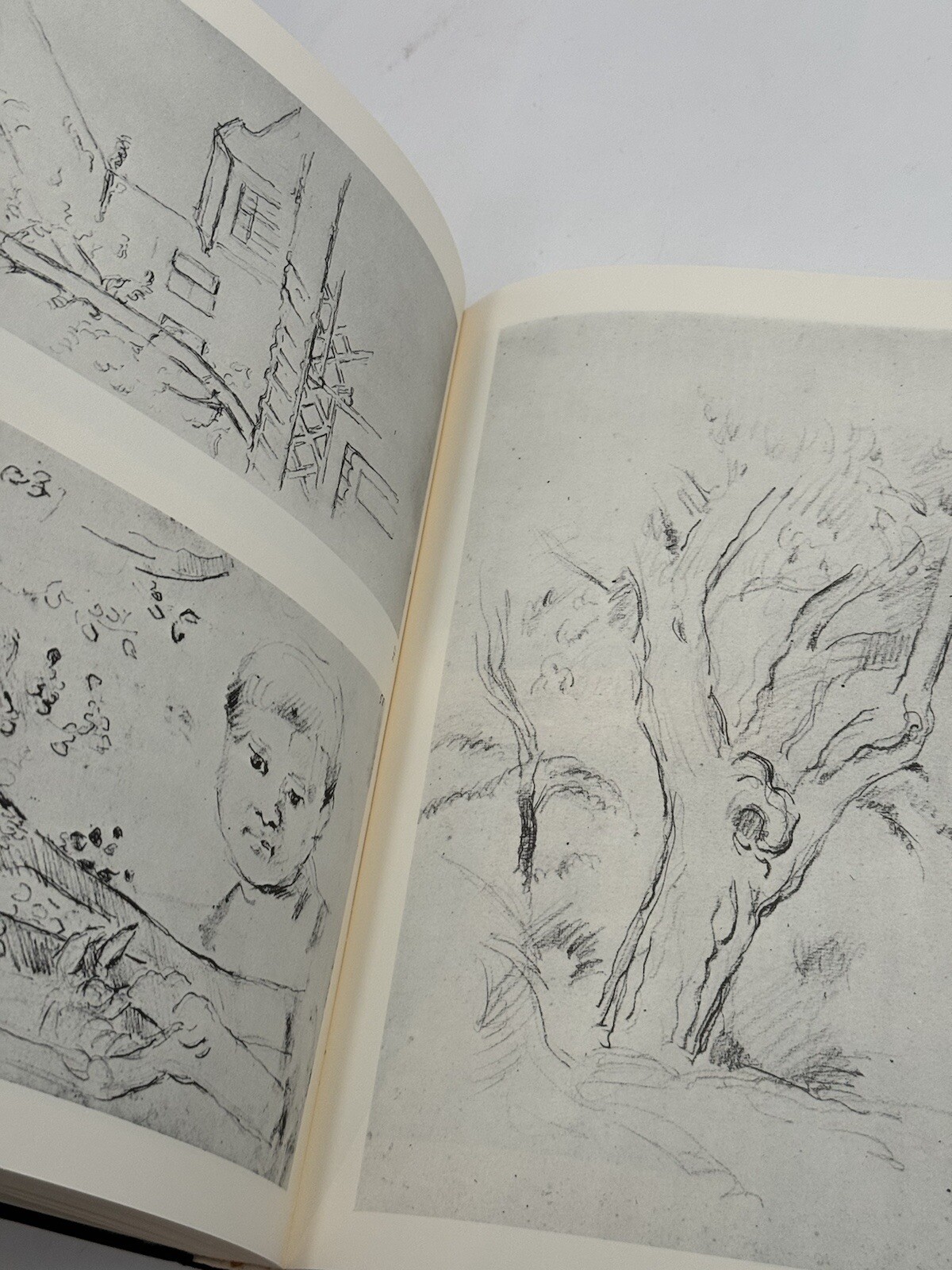 The Drawings Of Paul Cézanne A Catalogue Raisonné Book Set 1973