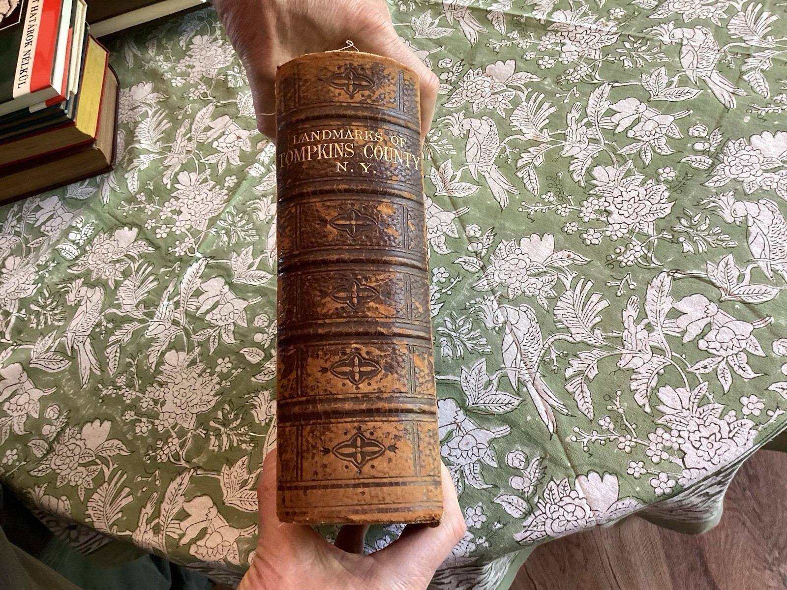 1894 Landmarks Tompkins County W/History Cornell University New York NY Illustra