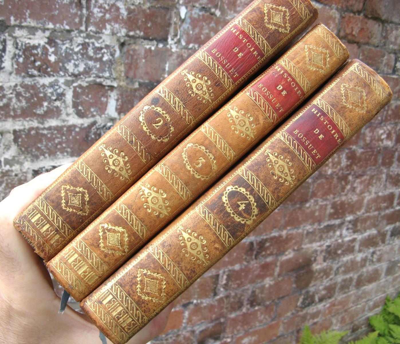 11 Antique Leather Decorative Books- Georgian Victorian
